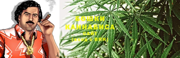 прущие крисы Белокуриха