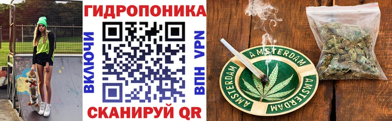 наркота  Кудрово  Шишки марихуана сатива 